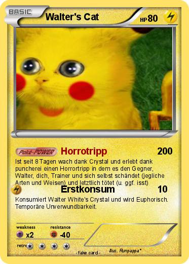 Pokemon Walter's Cat