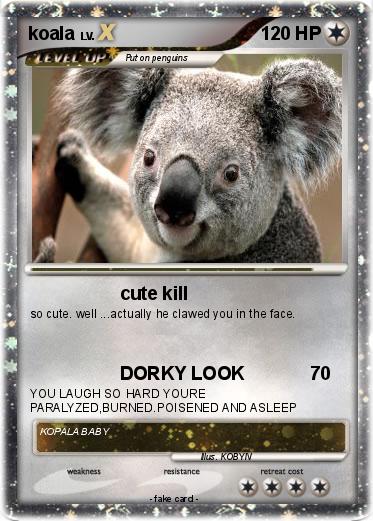 Pokemon koala