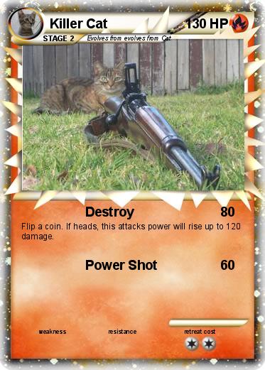 Pokemon Killer Cat