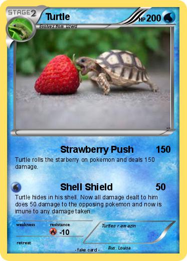 Pokemon Turtle