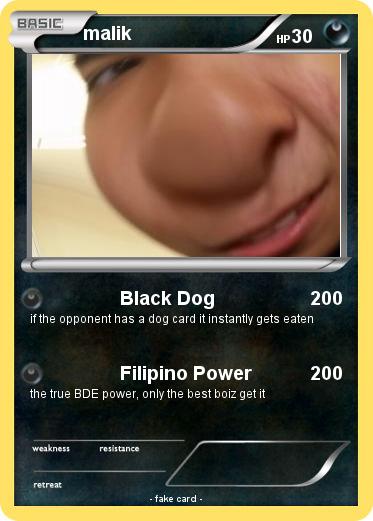 Pokemon malik