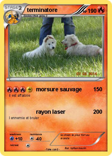 Pokemon terminatore