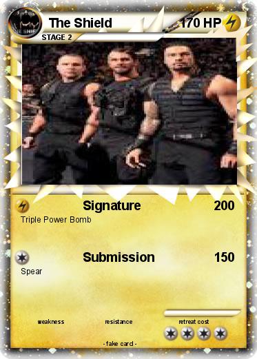 Pokemon The Shield
