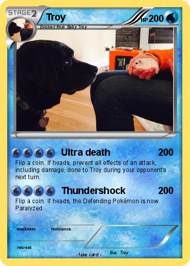 Pokemon Troy