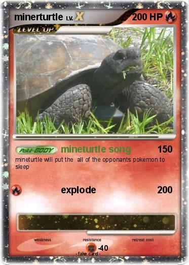 Pokemon minerturtle