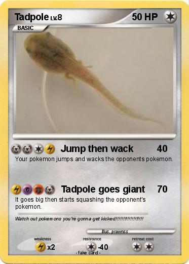 Pokemon Tadpole