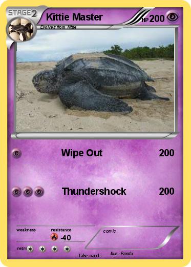 Pokemon Kittie Master