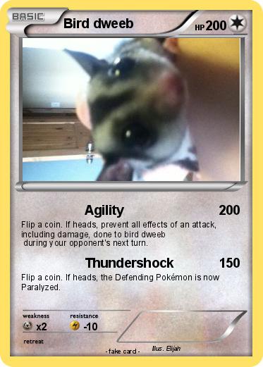 Pokemon Bird dweeb