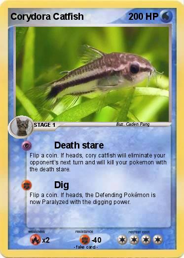 Pokemon Corydora Catfish