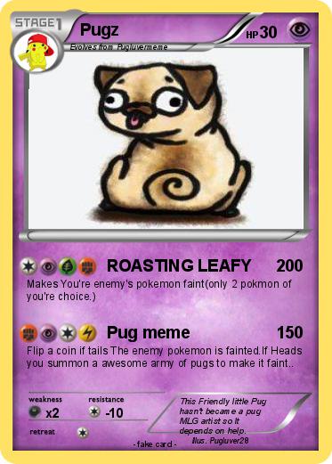 Pokemon Pugz