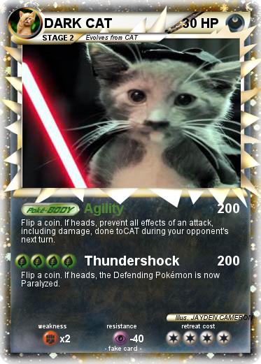 Pokemon DARK CAT