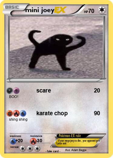 Pokemon mini joey