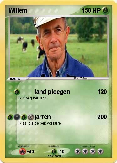 Pokemon Willem