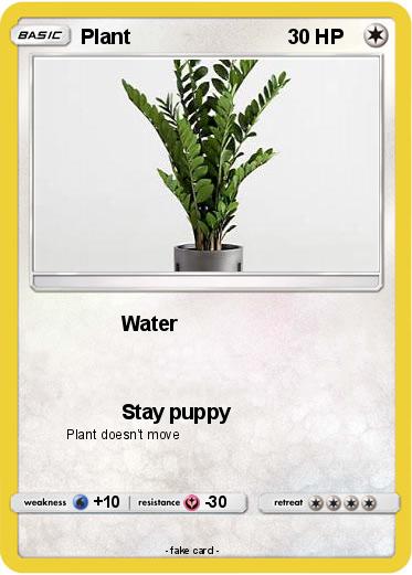 Pokemon Plant