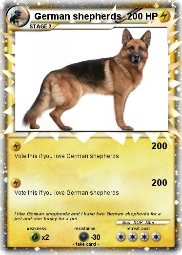 Pokemon German shepherds