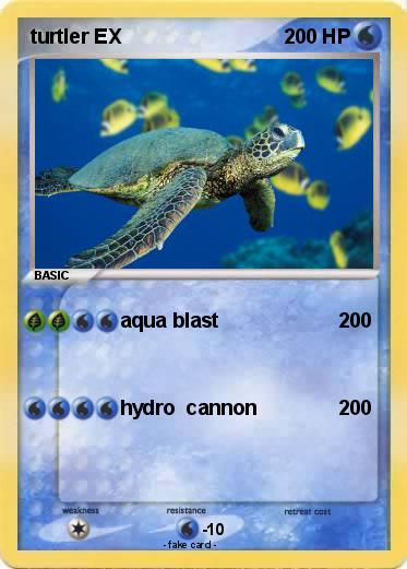 Pokemon turtler EX