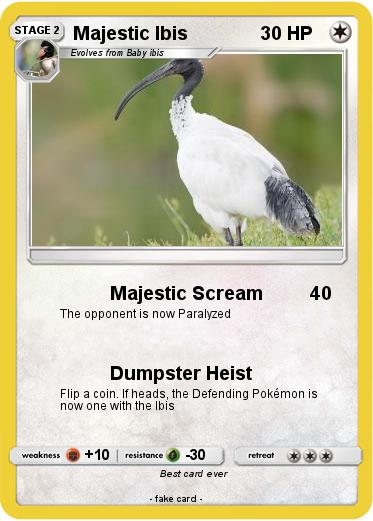 Pokemon Majestic Ibis