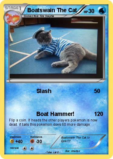 Pokemon Boatswain The Cat