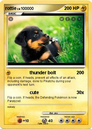 Pokemon rottie