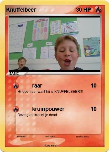 Pokemon Knuffelbeer