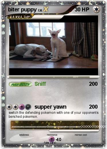 Pokemon biter puppy