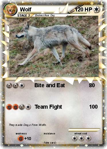Pokemon Wolf
