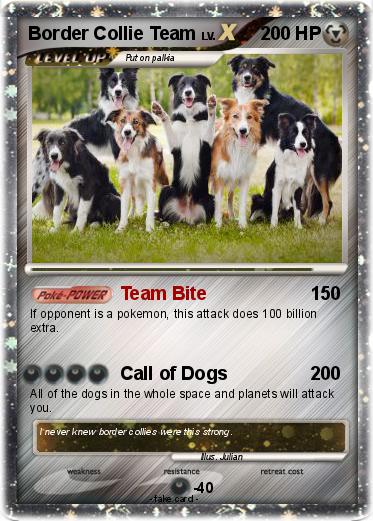 Pokemon Border Collie Team