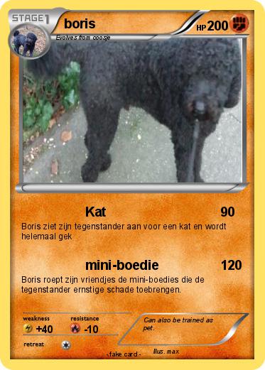 Pokemon boris