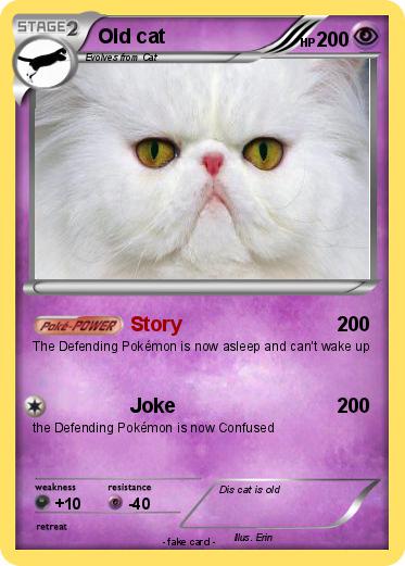Pokemon Old cat