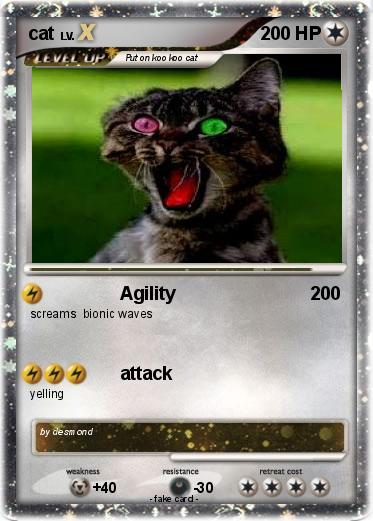 Pokemon cat