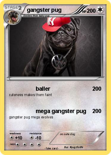 Pokemon gangster pug
