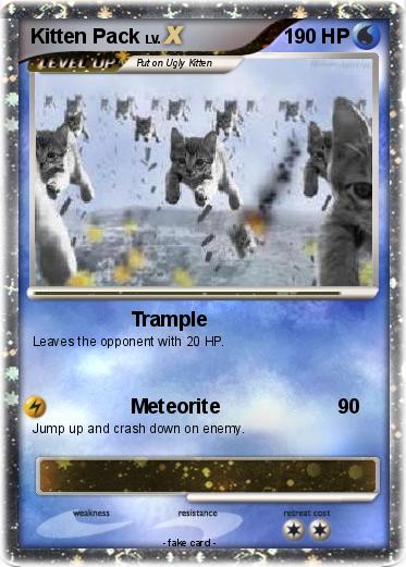 Pokemon Kitten Pack