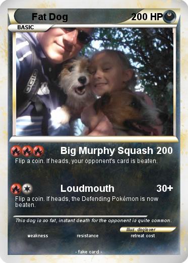 Pokemon Fat Dog