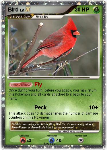 Pokemon Bird