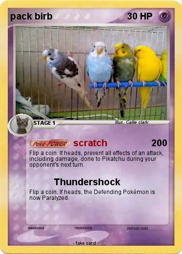 Pokemon pack birb