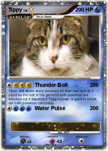 Pokemon Tippy
