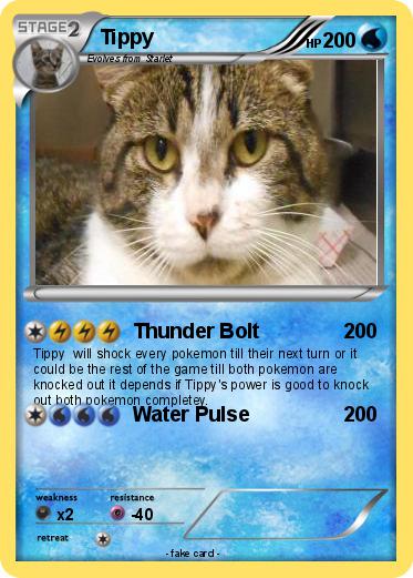 Pokemon Tippy