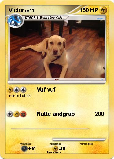 Pokemon Victor