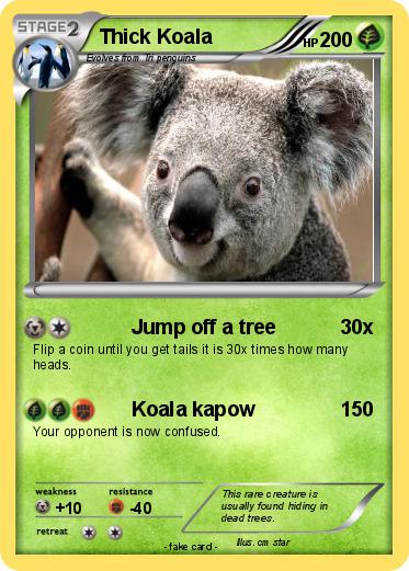 Pokemon Thick Koala