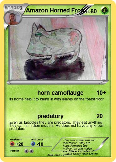 Pokemon Amazon Horned Frog