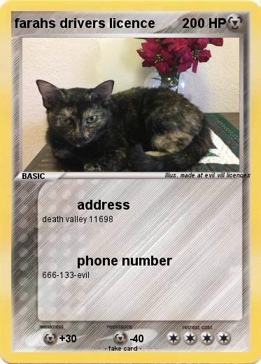 Pokemon farahs drivers licence