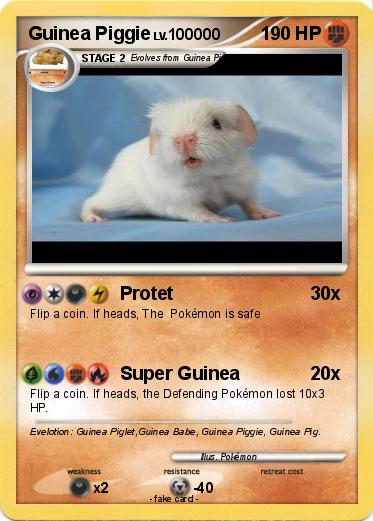 Pokemon Guinea Piggie