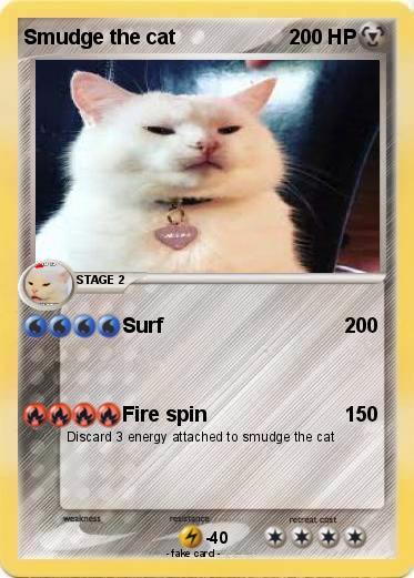 Pokemon Smudge the cat