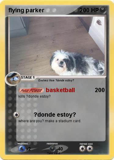 Pokemon flying parker