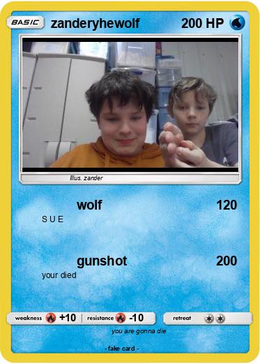 Pokemon zanderyhewolf