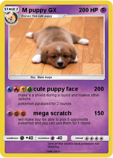 Pokemon M puppy GX
