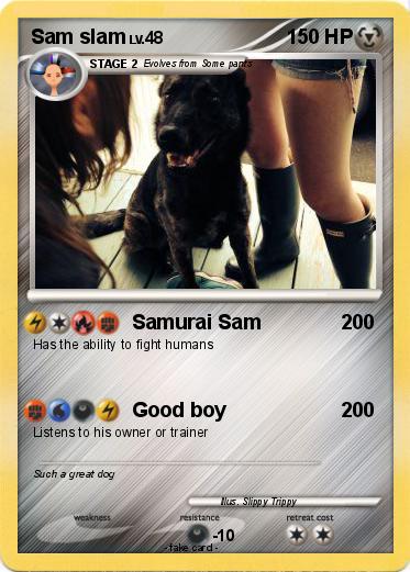 Pokemon Sam slam