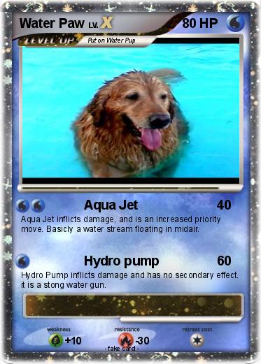 Pokemon Water Paw