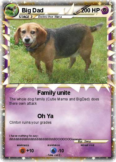 Pokemon Big Dad