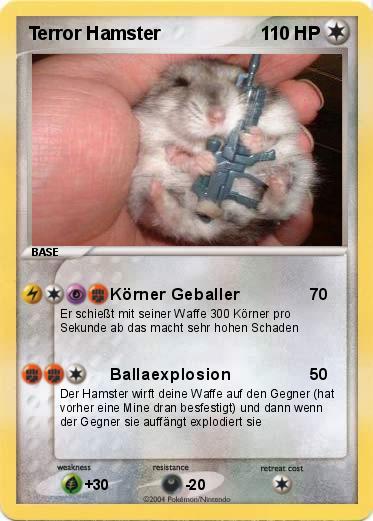 Pokemon Terror Hamster
